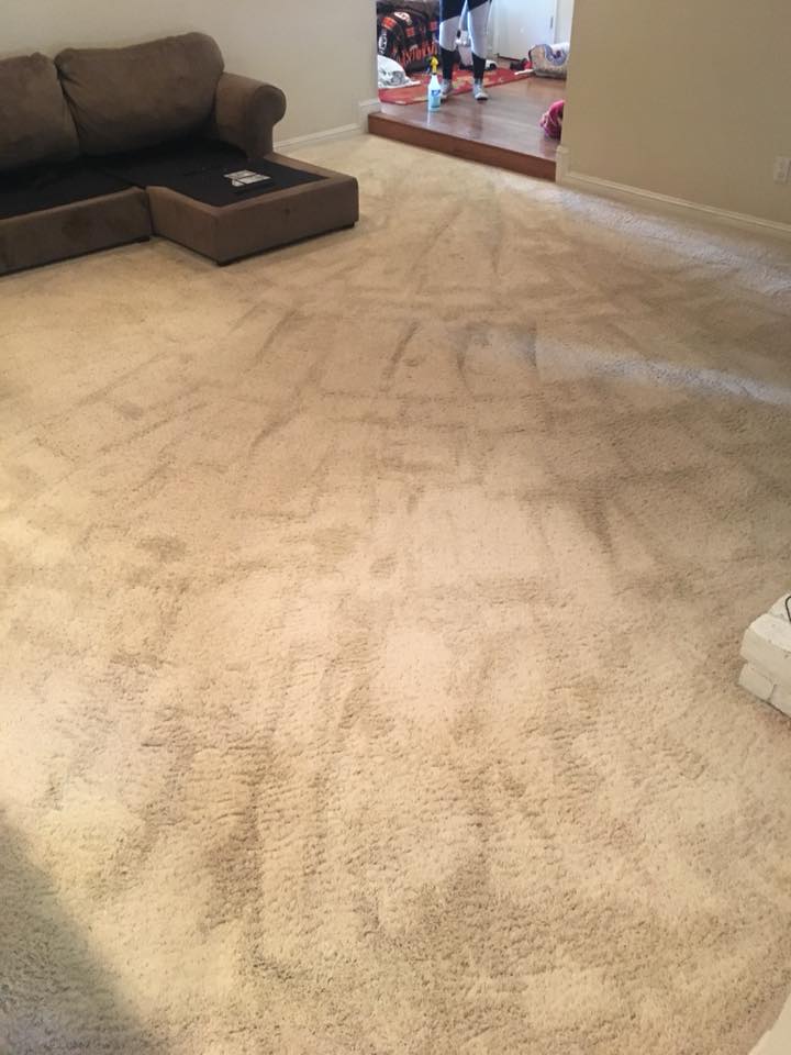 Carpet after cleaning β fresh and uniform