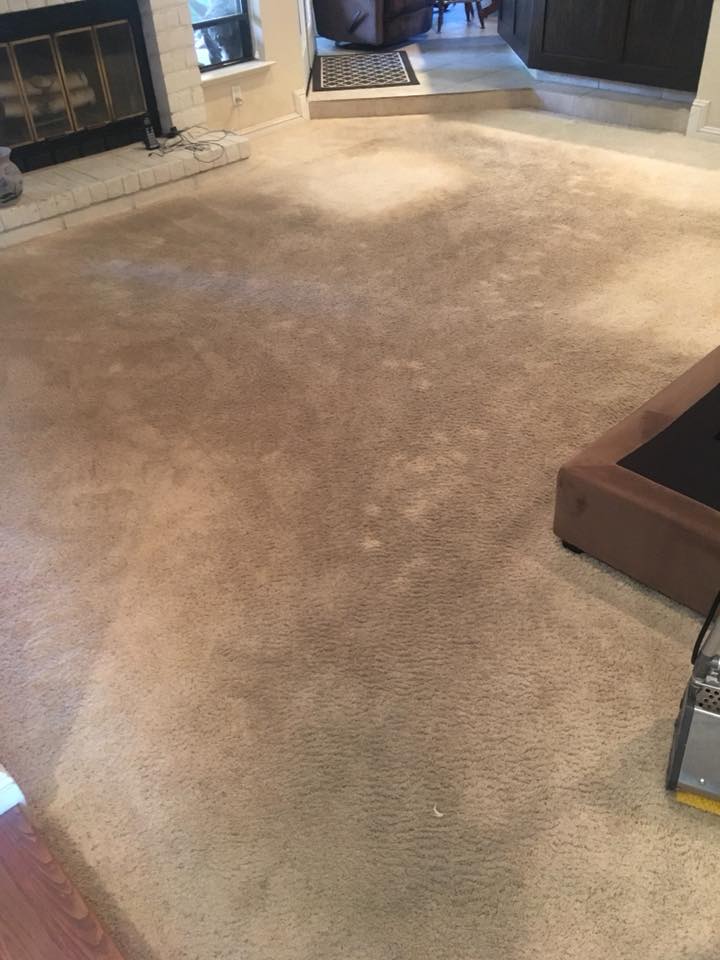 Carpet before cleaning β stained and discolored