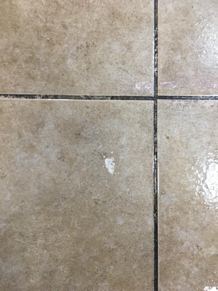 Grout before cleaning β dark discolored grout lines